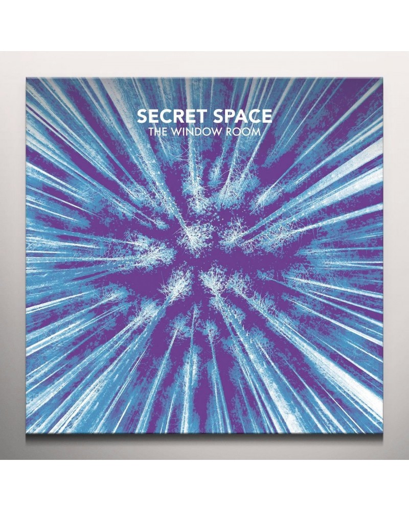 $8.80 Secret Space WINDOW ROOM Vinyl Record Vinyl