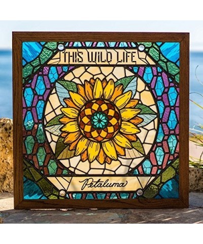 $6.20 This Wild Life Petaluma Vinyl Record Vinyl