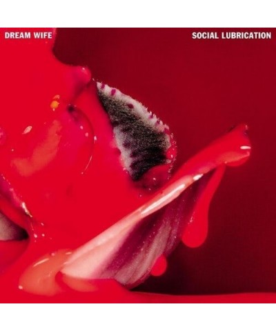 $5.46 Dream Wife SOCIAL LUBRICATION CD CD